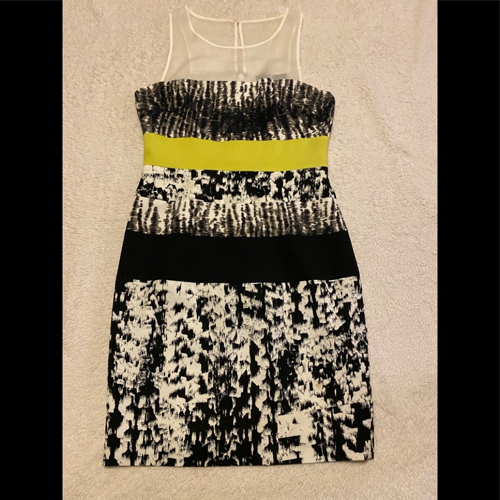 BCBG Maxazria Cocktail Dress